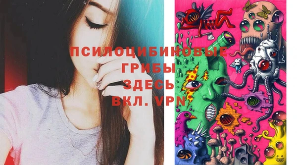 спайс Абаза