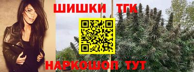spice Новозыбков