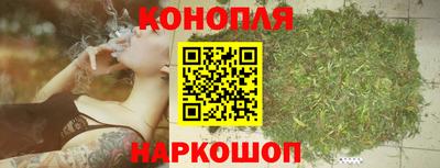 spice Новозыбков