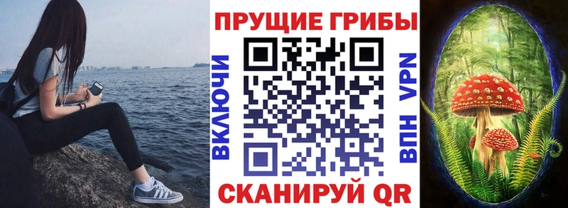 Галлюциногенные грибы мицелий  что такое наркотик  Советск 
