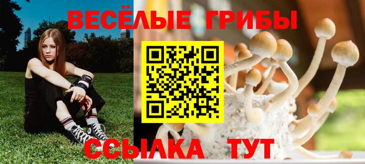 Псилоцибиновые грибы мухоморы  Псилоцибиновые грибы мицелий  Советск  Вход с VPN 