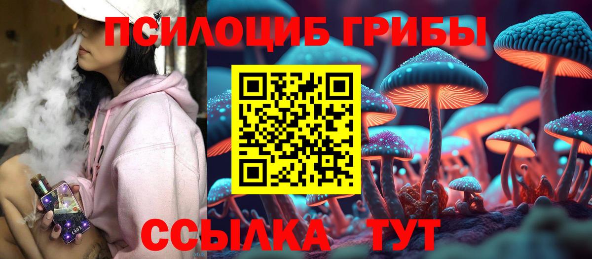 Псилоцибиновые грибы Cubensis Советск
